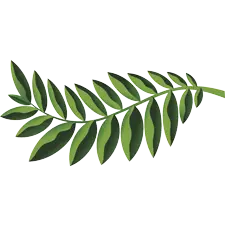 Native Woodlands, PrintReleaf, Doing Better Business